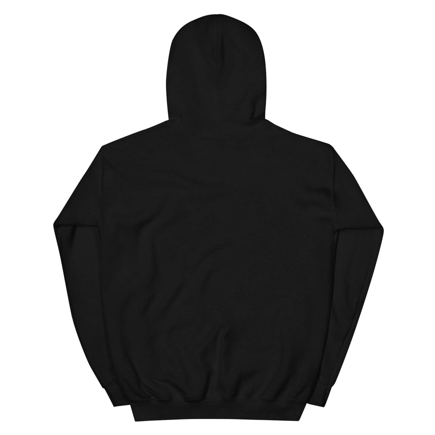 Elyxr Hoodie